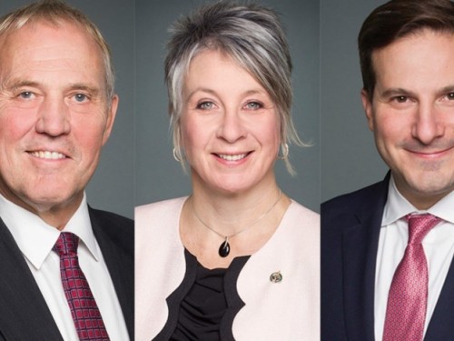 Ottawa eases border restrictions for families; no end in sight for 14-day quarantine