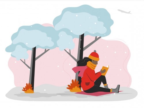 No surprises here: Canadians will spend less on holiday travel this year, says poll