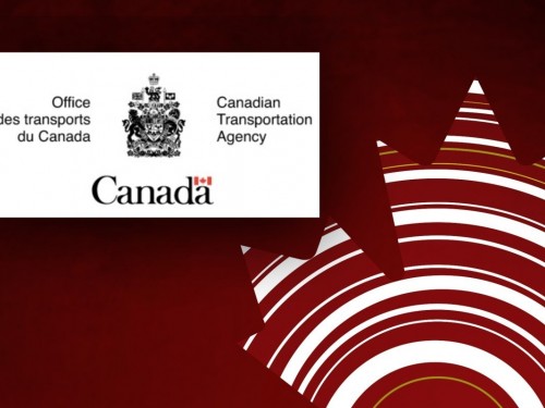 Carriers may interrupt their domestic services without notice until March 31