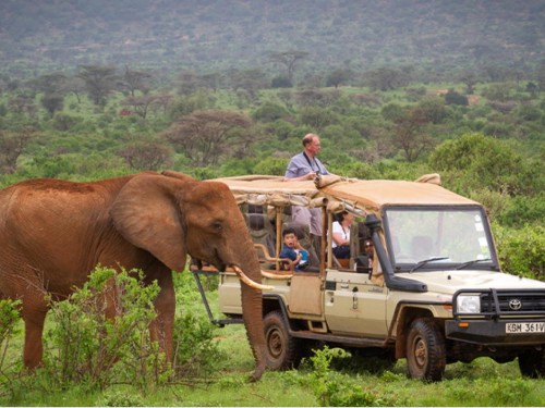 African Travel, Inc. unveils new luxury small group journeys