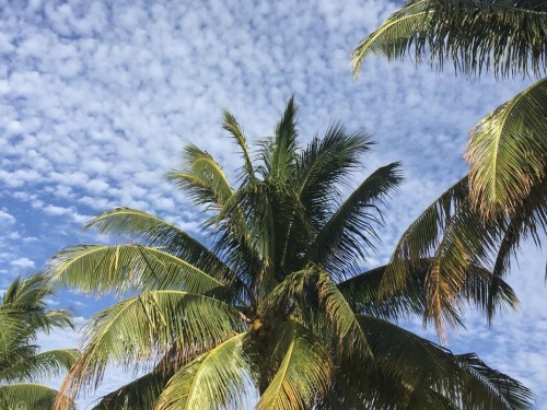 AMResorts expands in Pacific Mexico with 2 new resorts