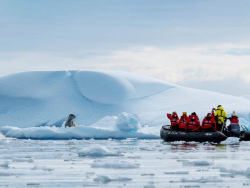 Adventures by Disney to launch first-ever expedition cruises