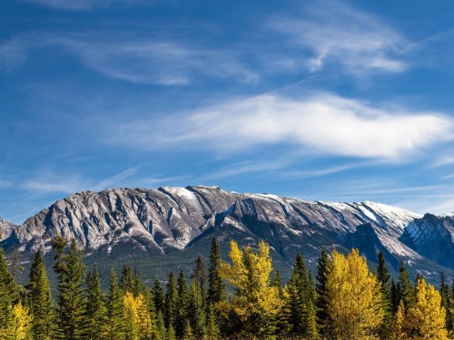 Tourism coalition urges B.C. not to pursue domestic travel ban