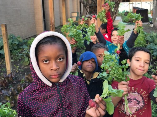 TreadRight Foundation unveils first-ever USA projects