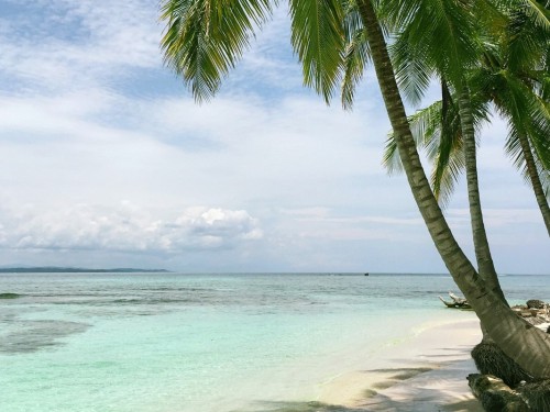 The Caribbean saw a 65.5% drop in arrivals in 2020, says CTO