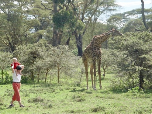 Exodus Travels joins forces with The African Wildlife Foundation