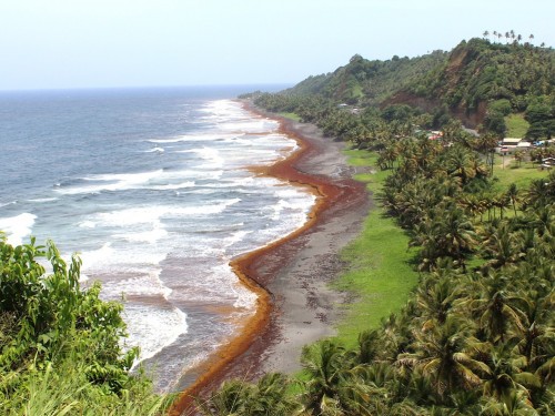 Here’s how you can help the people of St. Vincent & the Grenadines