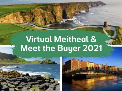 Tourism Ireland's virtual meitheal and meet the buyer 2021