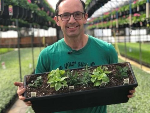 "Frankie Flowers" joining Emerald for Floriade sailing on the Rhine in July 2022