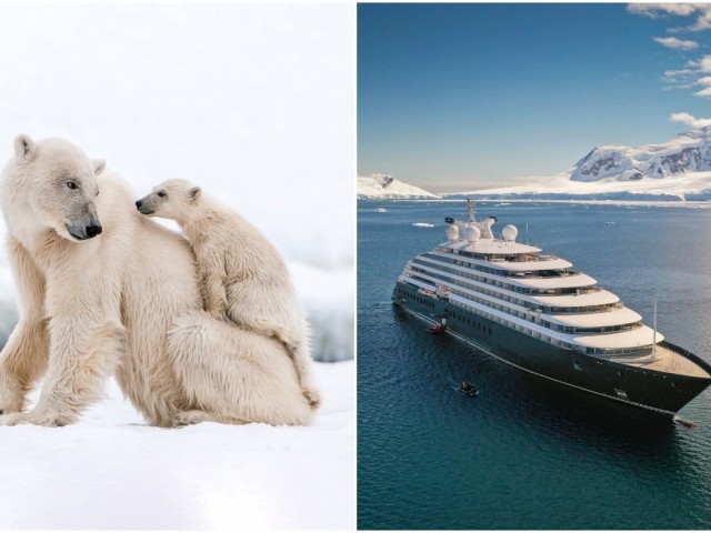 Scenic unveils 2022/2023 Scenic Eclipse Arctic collection