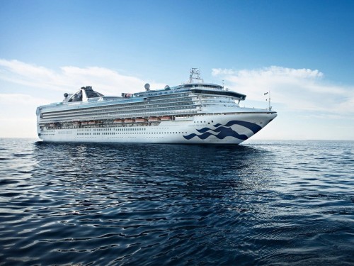 Princess Cruises cancels more sailings