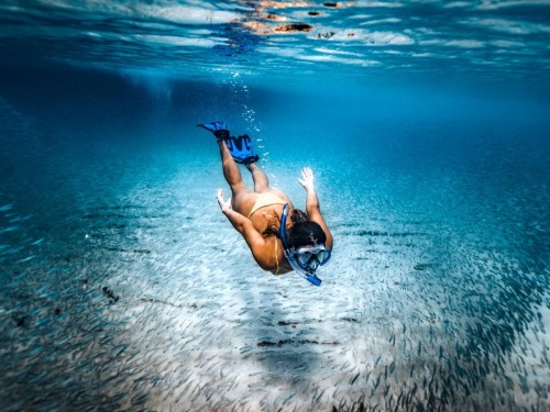 Transat acquires remaining 30% stake in TraficTours