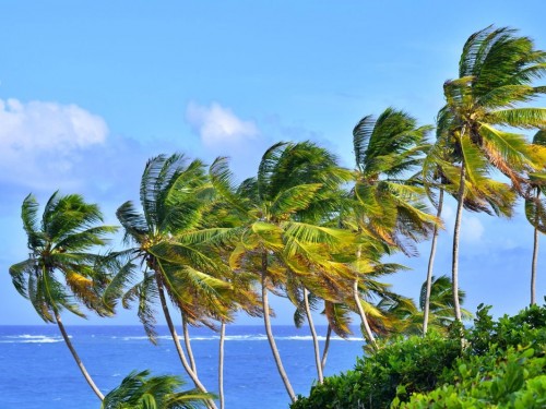 CTO launches Caribbean Community Tourism Network