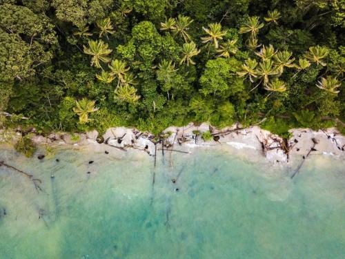 Exodus Travels commits to becoming "Nature Net Positive" by 2024