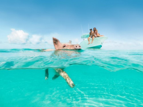 ACV flying direct to The Exumas starting Dec. 19