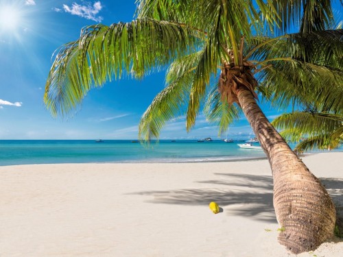 CTO invites industry to promote Caribbean's comeback during Caribbean Tourism Month