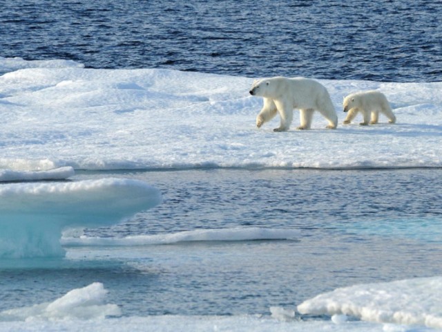 Adventures by Disney announces 2023 expedition cruises to the Arctic