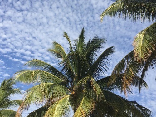 Industry calls on Mexican gov't to intervene following Cancun shooting