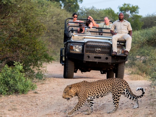 African Travel Inc. announces vax requirement on 2022 group safaris