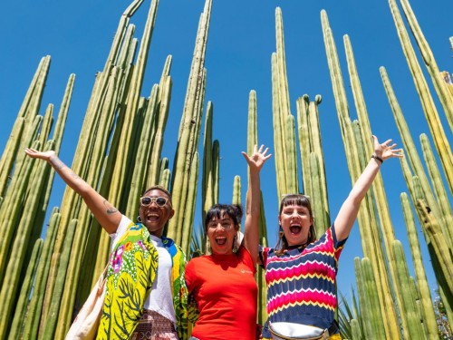 Intrepid's B Corp recertification renews commitment to purposeful business