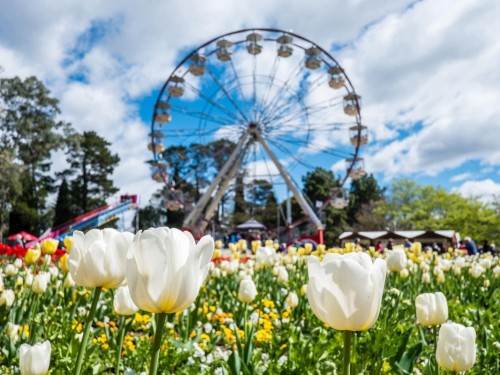 Scenic adds once-a-decade Floriade Horticulture Expo to 5 itineraries