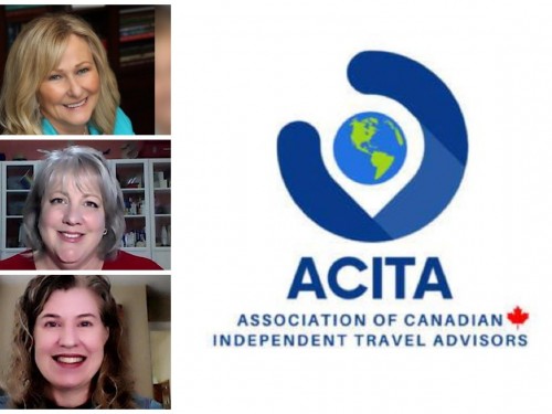 “We have a plan”: ACITA moves forward with new logo and mission statement