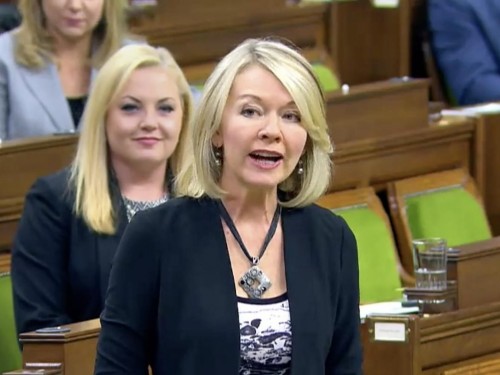 The Conservatives' new interim leader is a strong supporter of travel advisors