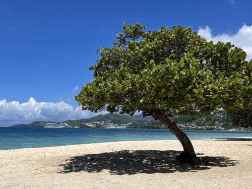 Grenada now accepting antigen tests taken within 1 day of arrival