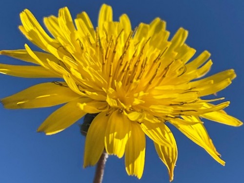 ETC stands in solidarity with Ukraine; Sabre terminates agreement with Aeroflot