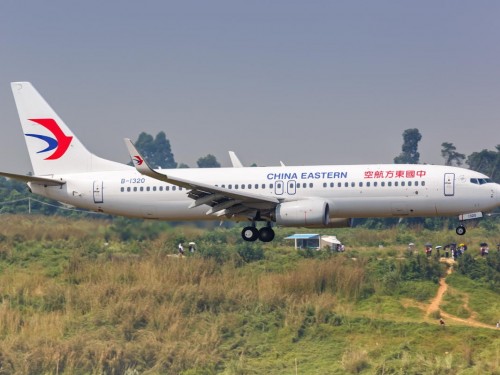 Chinese air travel sees mass cancellations after plane crash; no survivors found