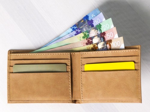 Canadians are on a spending spree, buying cars, home renos and, yes, travel: economists