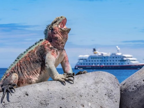 Hurtigruten acquires minority stake in Galapagos Islands tour op