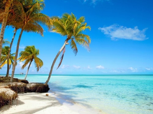 Sunwing reveals enhanced agent portal & 1 Million STAR Points contest