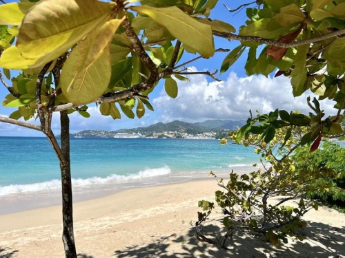 Grenada removes COVID-19 entry restrictions for all travellers