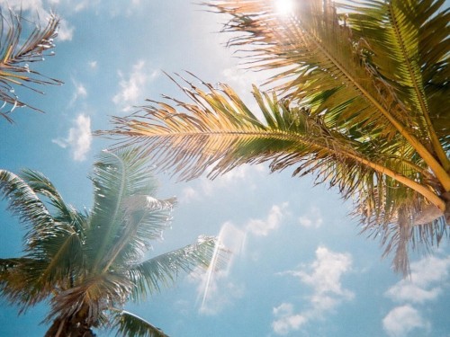 Nobu Hospitality to open new hotels in Punta Cana & Orlando