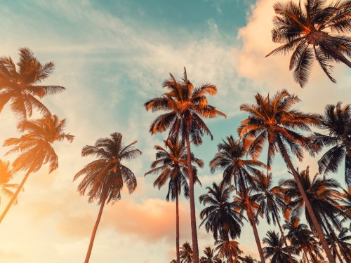 Zeno Group Canada wins Visit California