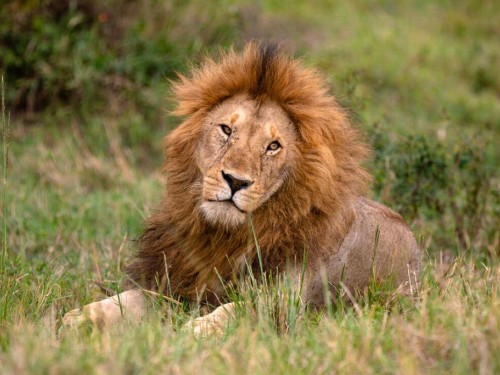 Clients can save up to 30% on more than 1,000 itineraries with Intrepid