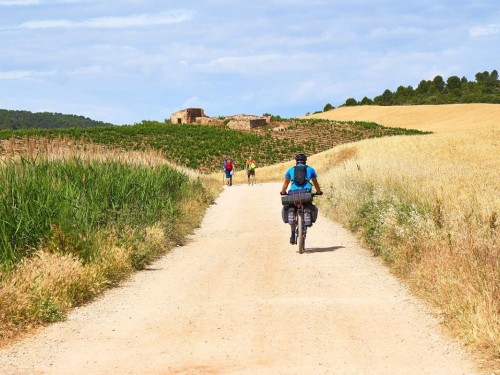 Exodus Travels invites guests to electrify their rides