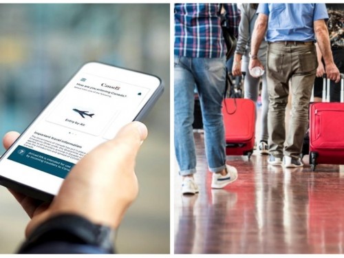 Court asked to scrap ArriveCAN app, declare it a violation of Charter rights