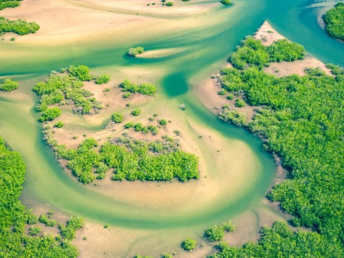 FCM adds Senegal to Africa operations