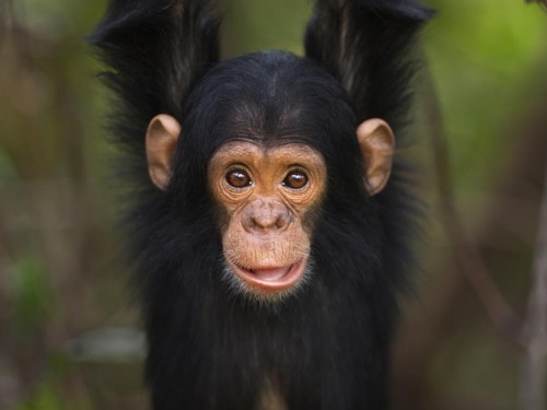 African Travel Inc. launches 2023 "inspiration guide" brochure