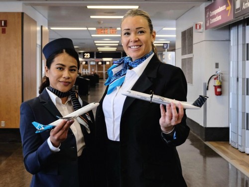 Air Transat & Porter Airlines launch codeshare agreement