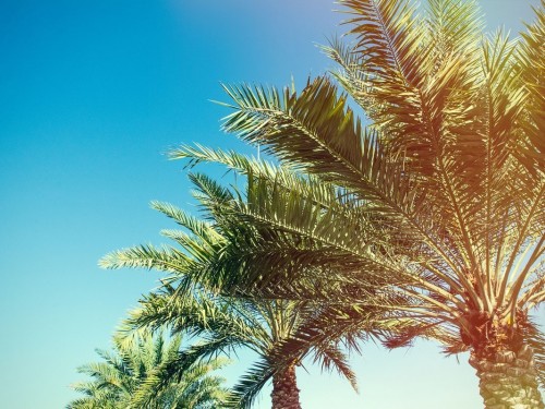 Visit Orlando hosting events for agents in Toronto & Montreal next month