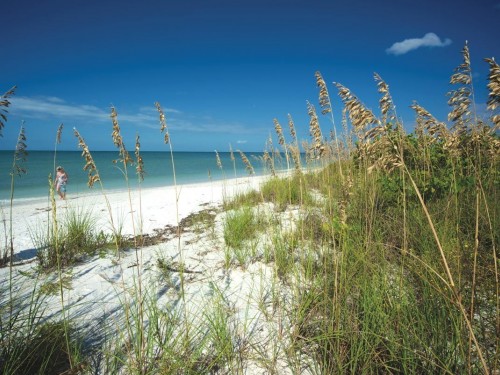 Fort Myers provides recovery update; hotels, parks reopen