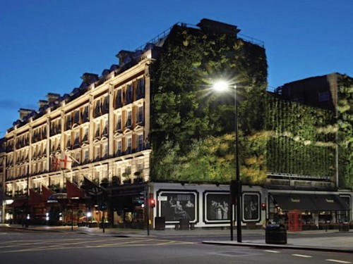 TTC announces verified net zero targets & carbon fund