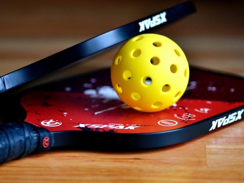 HAL becomes exclusive partner of the Professional Pickleball Association
