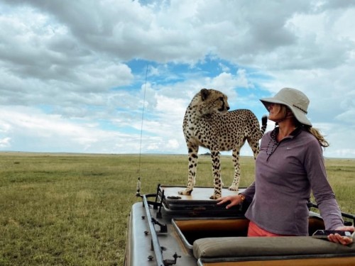 Personal Travel Management forms exclusive partnership with Boutique Safaris