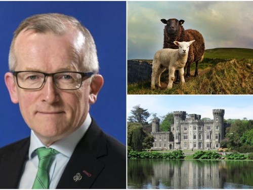 Niall Gibbons stepping down from Tourism Ireland after 21 years