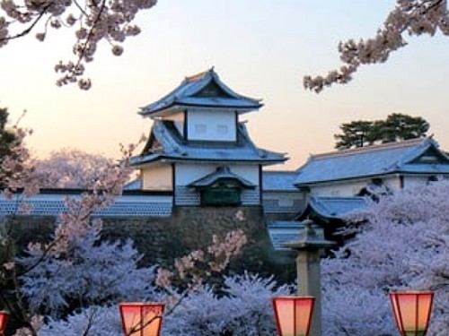 Goway has spots for this spring's cherry blossom season in Japan