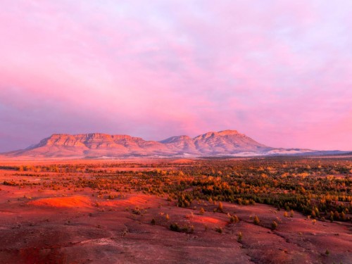 AAT Kings & Inspiring Journeys unveil 2023-24 New South Australia tours